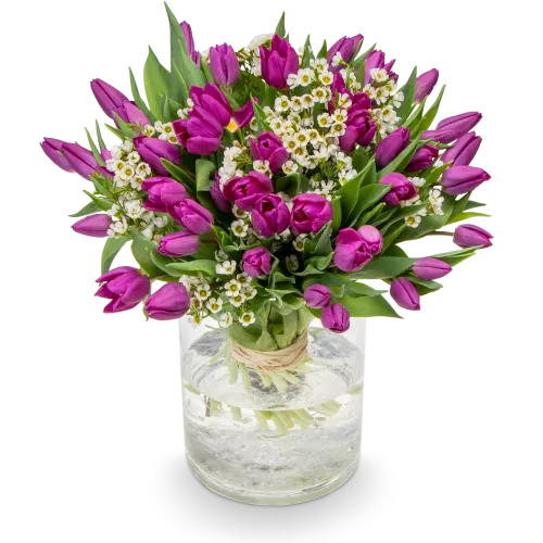 Kytice fialových tulipánů